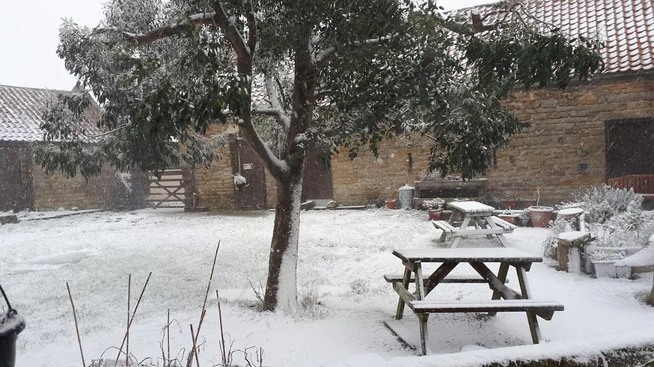 Thyme Cottage Γουίτμπι Σπίτι διακοπών